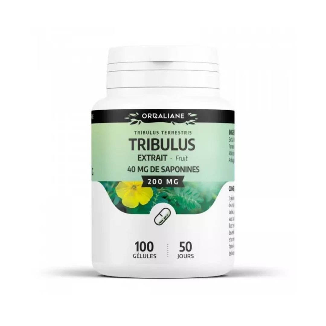 GPH-Orgaliane-Tribulus-200mg-100gelules.jpg GPH Orgaliane Tribulus 100 Gelules – Image 1