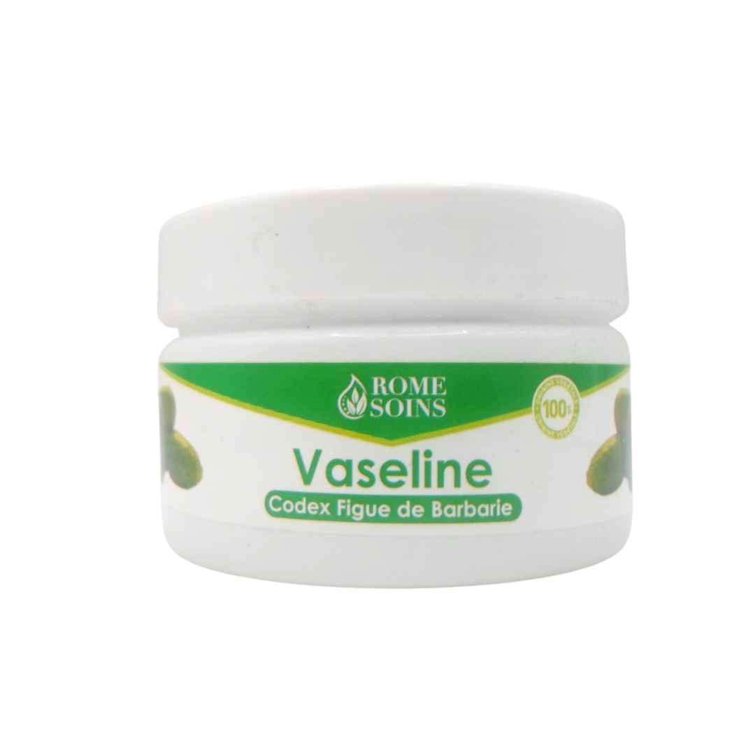 Rome-soins-Vaseline-codex-figue-de-barbarie-120g-1.png Rome Soins Vaseline Codex Figue de Barbarie 120g – Image 1