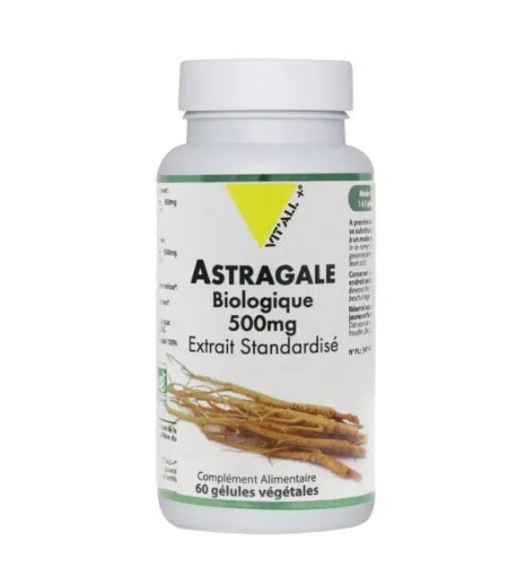 VITALL-PLUS-ASTRAGALE-500MG-60-GELULES-1.jpg VITALL PLUS ASTRAGALE 500MG 60 GELULES – Image 1
